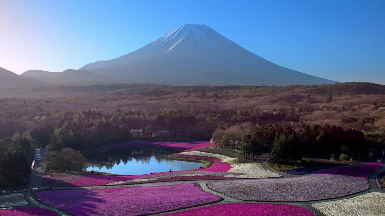 Japon, aux racines du soleil backdrop