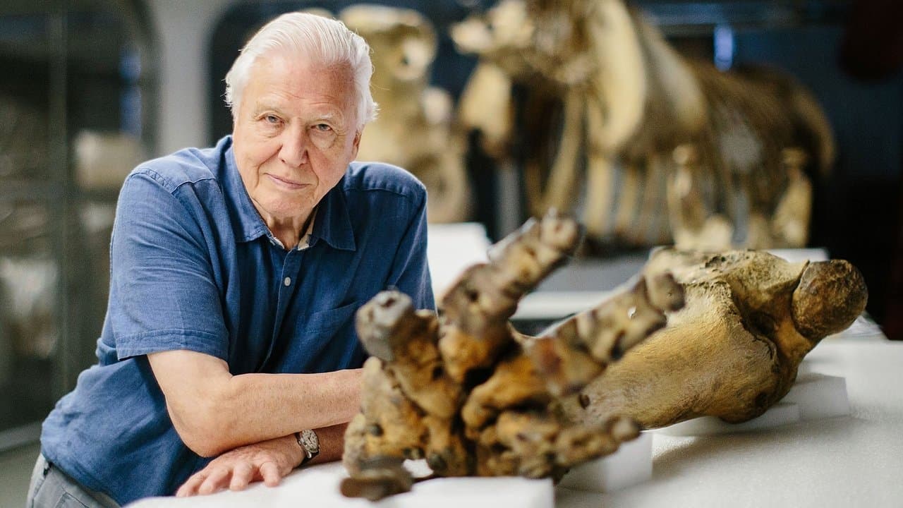 Attenborough and the Giant Elephant backdrop