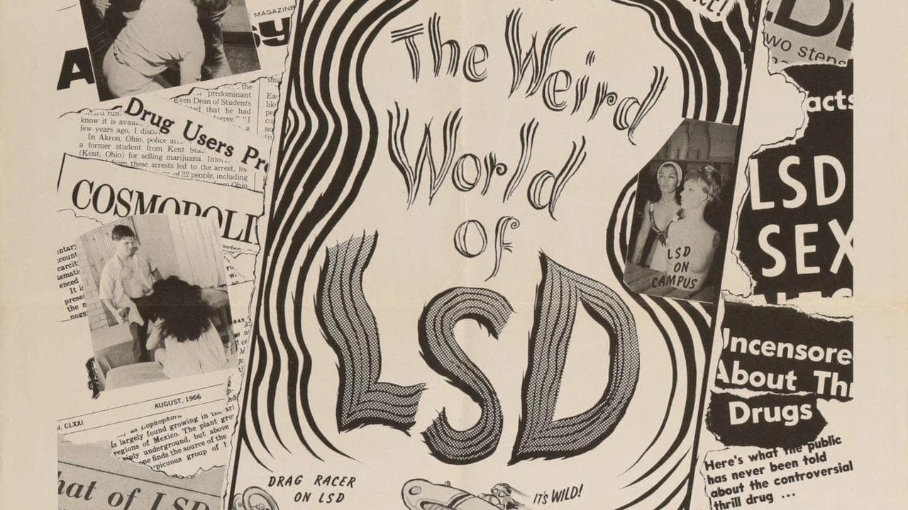 The Weird World of LSD backdrop