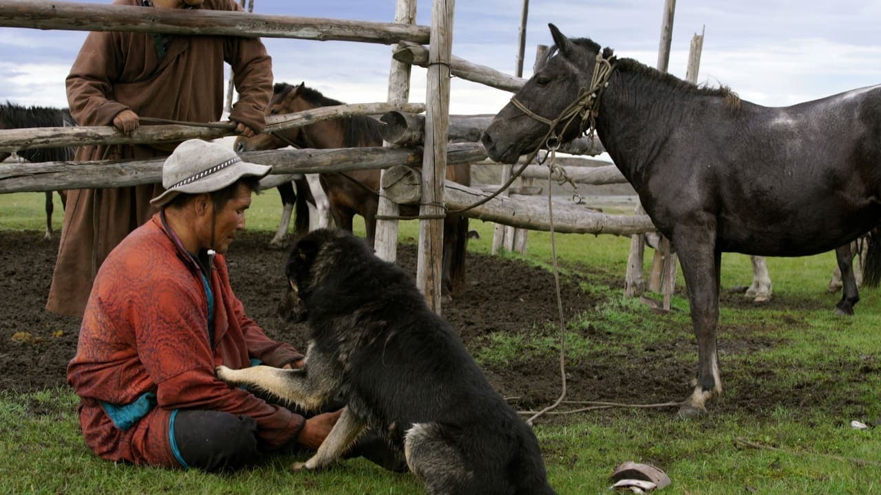 The Bounty Hunter of Mongolia backdrop