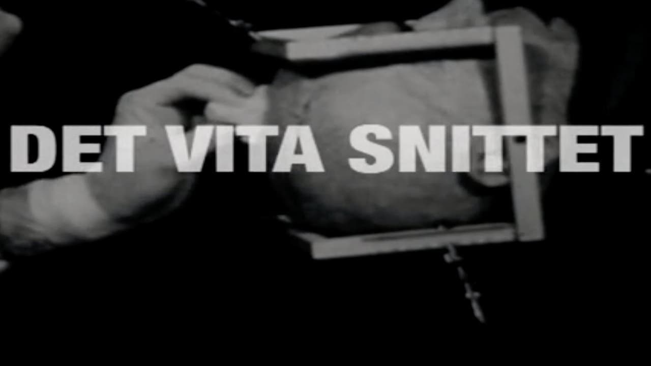 Det Vita Snittet backdrop