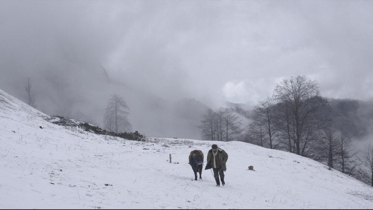 Cold of Kalandar backdrop