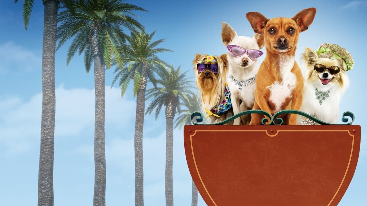 Beverly Hills Chihuahua backdrop