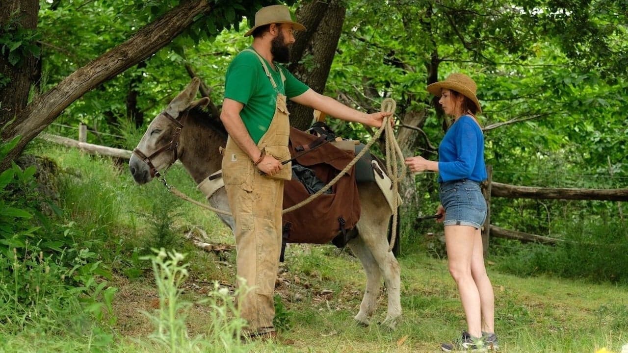 My Donkey, My Lover & I backdrop