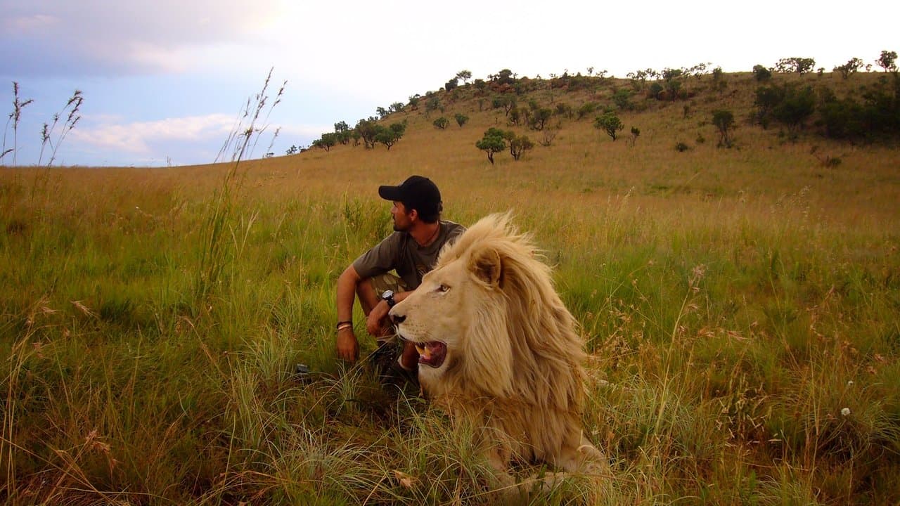 African Safari backdrop