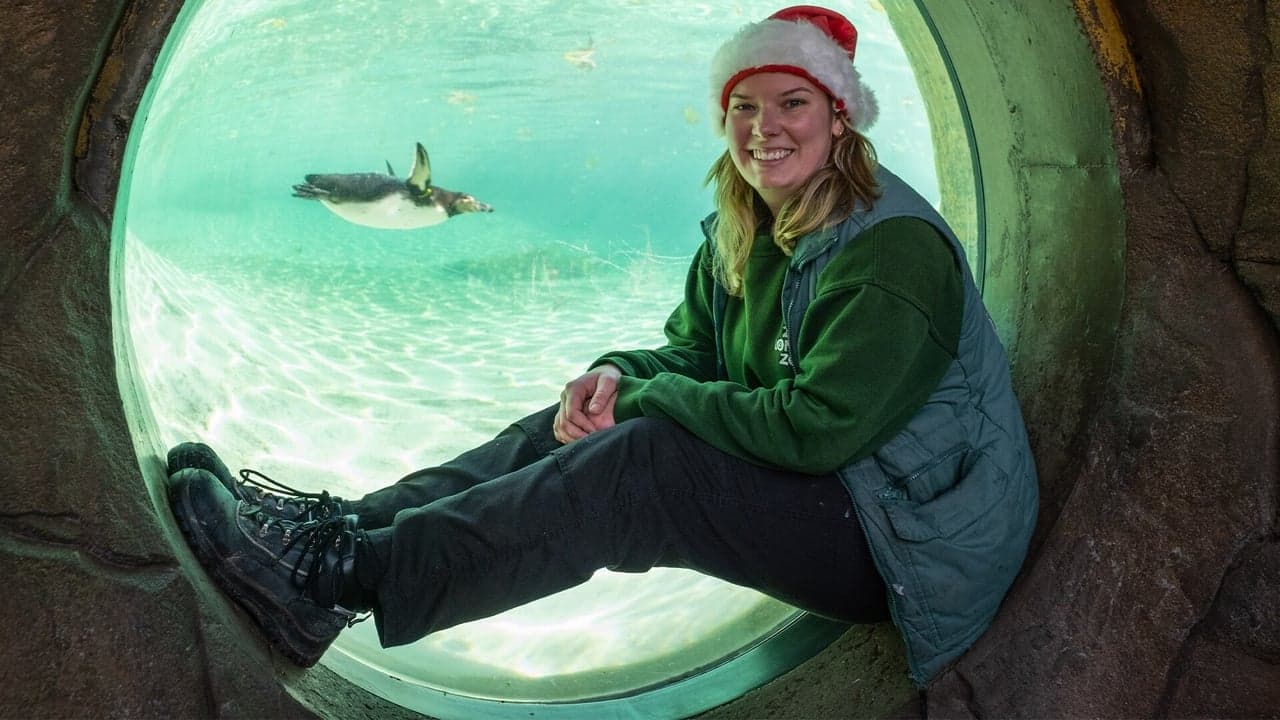 London Zoo at Christmas backdrop