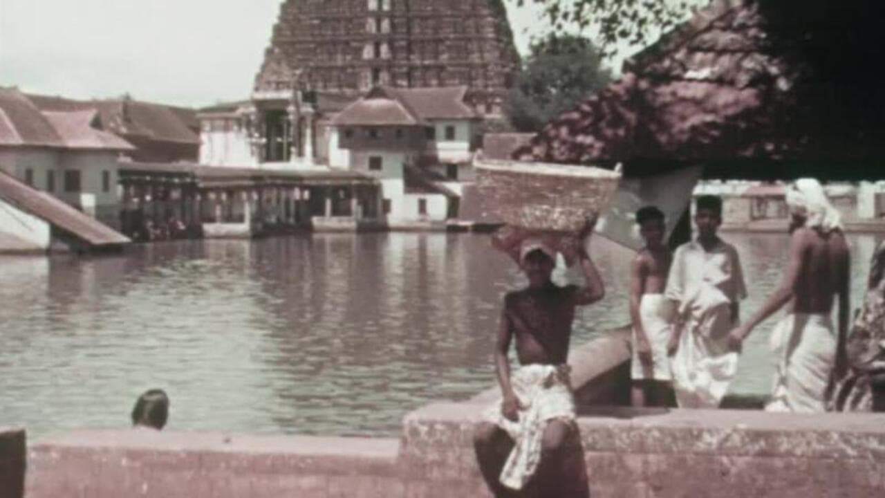 Street Scenes in India backdrop