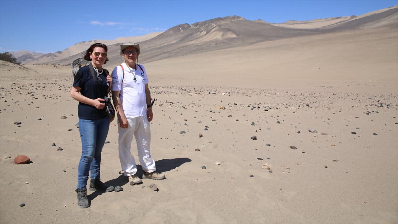 Nazca Desert Mystery backdrop