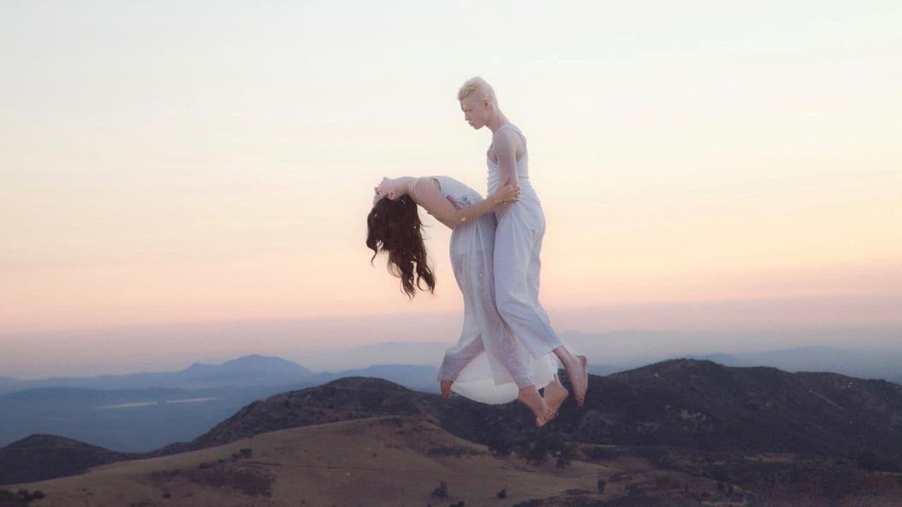 Tropico backdrop