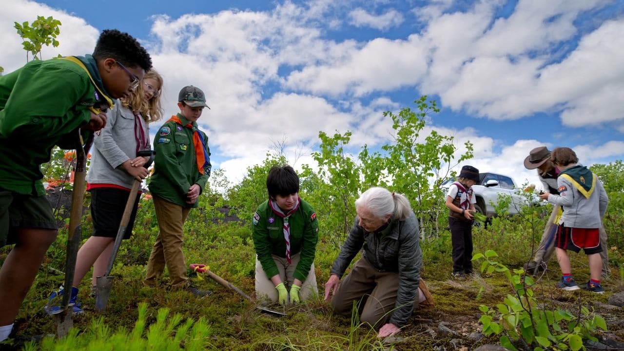 Jane Goodall: Reasons for Hope backdrop