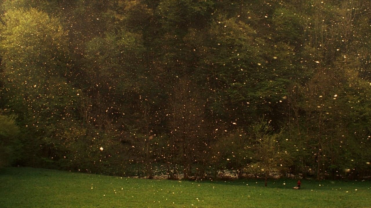 Stories from the Chestnut Woods backdrop