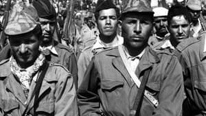 Guerre aux images en Algérie backdrop