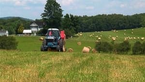 Tractor: The Movie backdrop