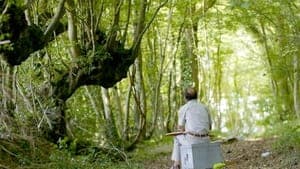 Trognes, les arbres aux mille visages backdrop