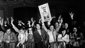 10 mai 1981, le jour du grand soir backdrop