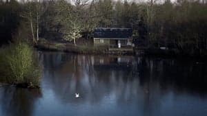 House on Elm Lake backdrop