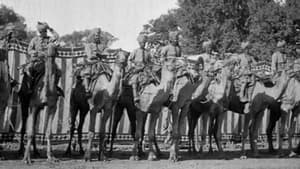 Indian Scene of Procession backdrop