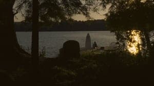 Falcon Lake backdrop