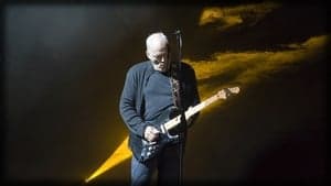 David Gilmour: Remember That Night - Live at the Royal Albert Hall backdrop