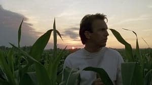 Field of Dreams backdrop