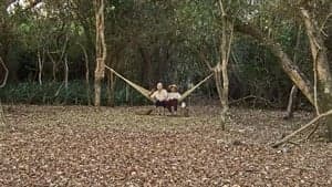 Paraguayan Hammock backdrop