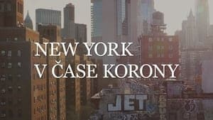 New York v čase korony backdrop