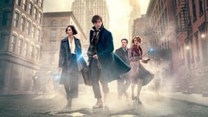 Fantastic Beasts and Where to Find Them backdrop