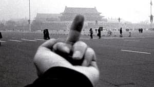 Ai Weiwei: Never Sorry backdrop