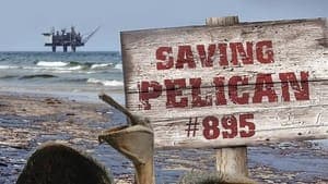 Saving Pelican 895 backdrop