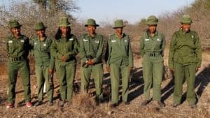 Women, Maasai and rangers - The lionesses of Kenya backdrop