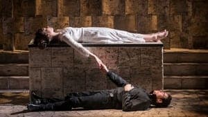 Branagh Theatre Live: Romeo and Juliet backdrop