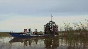 Lake Fear 2: The Swamp backdrop