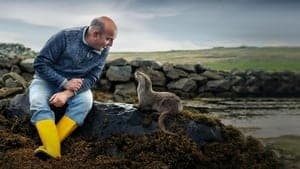 Billy & Molly: An Otter Love Story backdrop