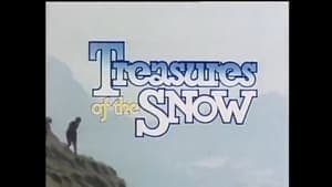 Treasures of the Snow backdrop