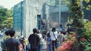 Garden, Zoological backdrop