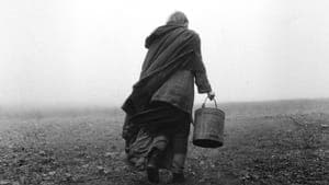 The Turin Horse backdrop