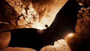 Batman Begins backdrop