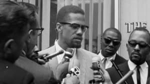 Malcolm X, la justice quel qu'en soit le prix backdrop