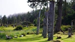 The Haida in Canada backdrop