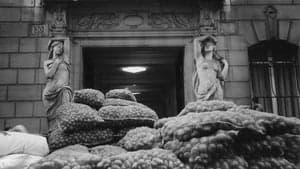 The So-Called Caryatids backdrop