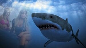 Shark Babes backdrop