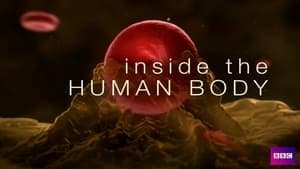 Inside the Human Body backdrop