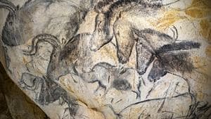 Grotte Chauvet - Dans les pas des artistes de la Préhistoire backdrop