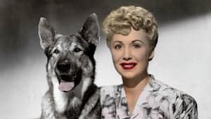 The Return of Rin Tin Tin backdrop