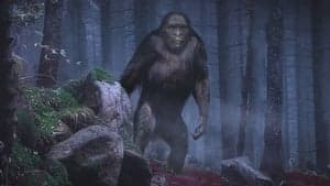 On the Trail of Bigfoot: The Discovery backdrop