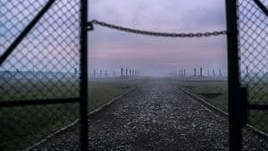 Auschwitz: Countdown To Liberation backdrop