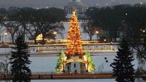 The National Christmas Tree, A Century of Celebration backdrop