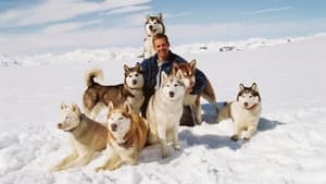 Eight Below backdrop