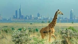 Breaking Boundaries: The Science of Our Planet backdrop