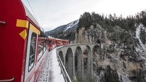 Alpine Train at Christmas backdrop